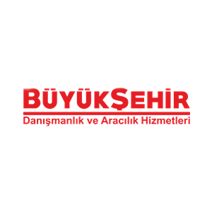 Büyükşehir Danışmanlık 